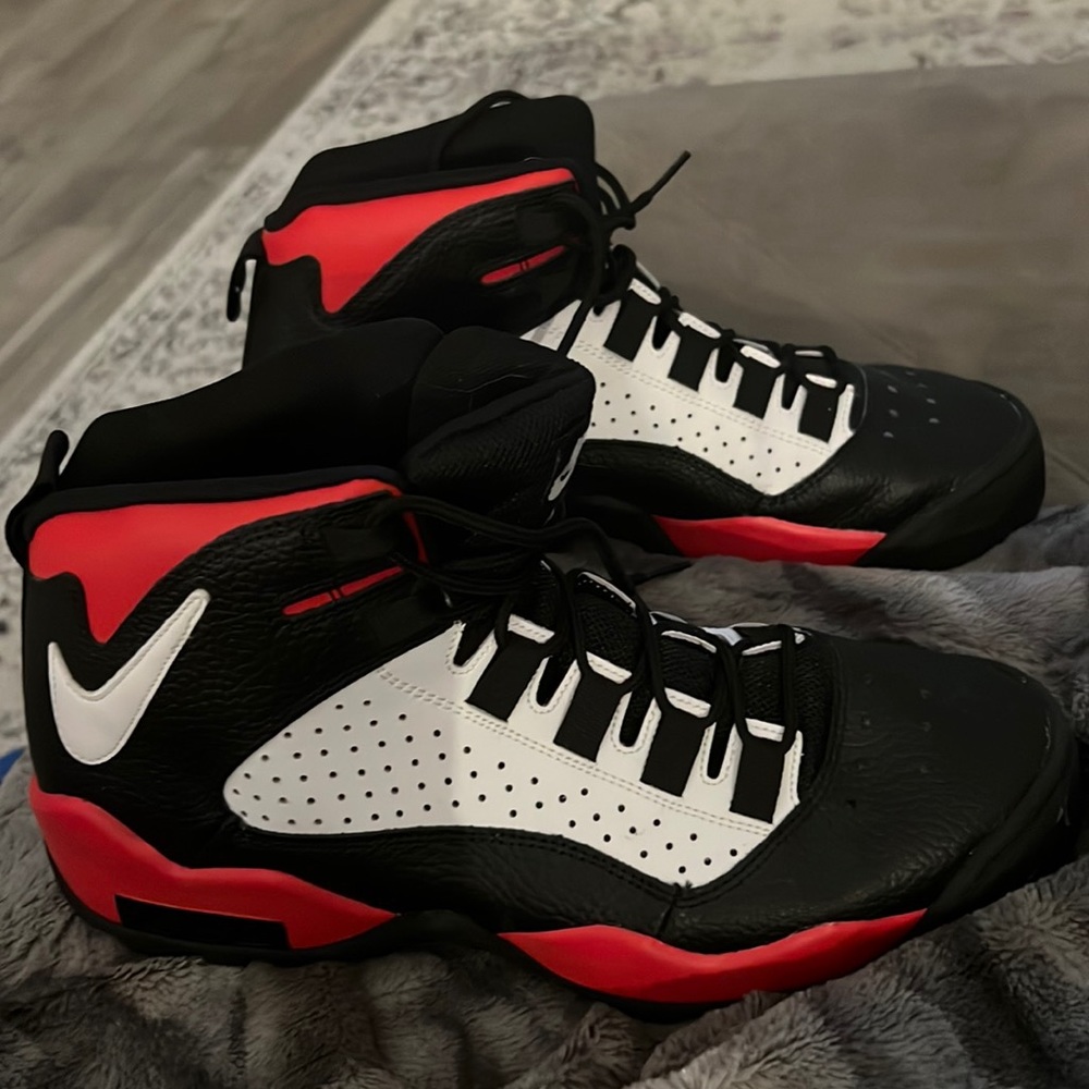 Nike Air Darwin Bulls size 11.5